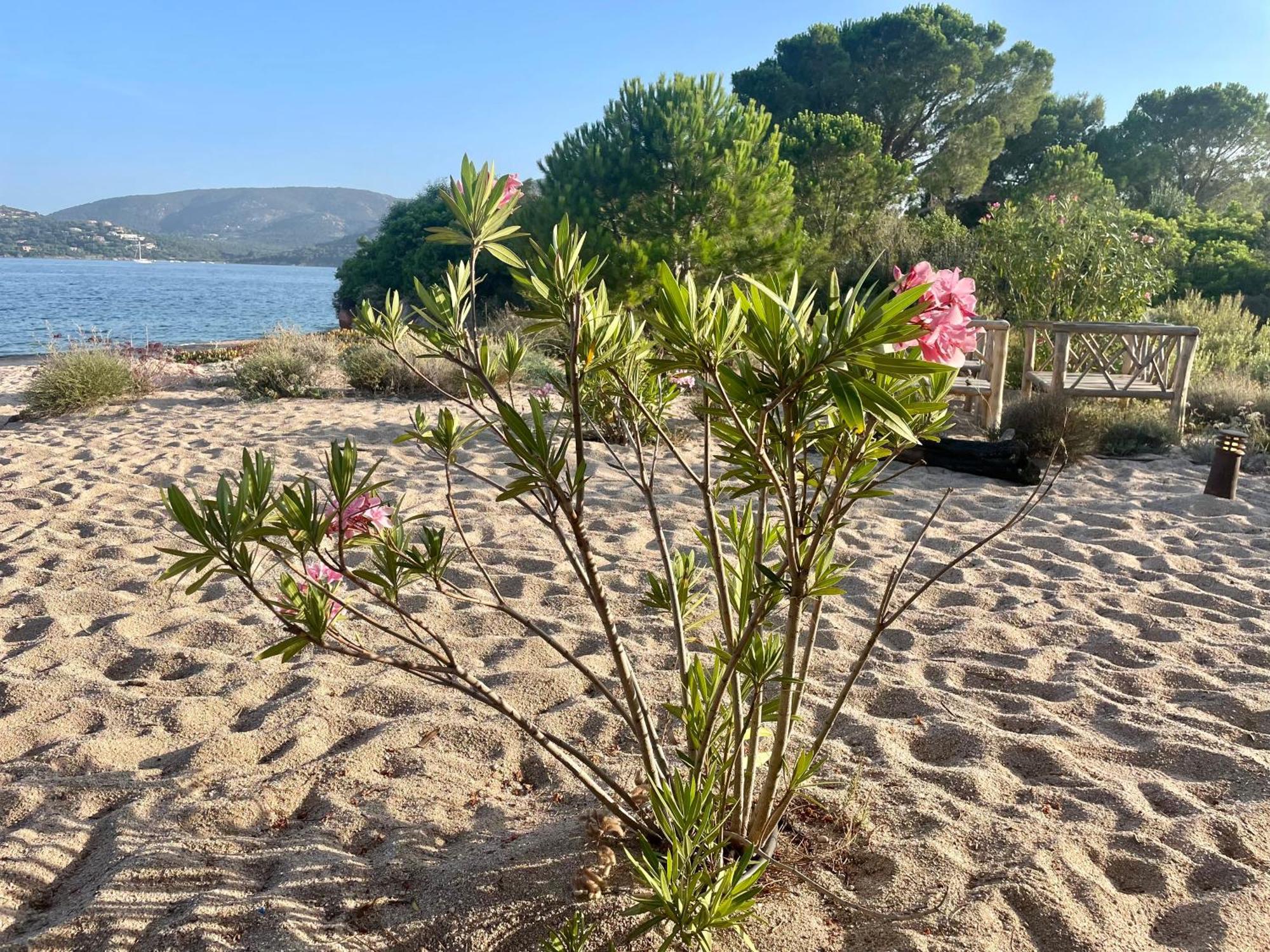 Cala Rossa By Sarai, Apt T2 4 Personnes, Dans Residence Hoteliere Avec Piscine Lecci Bagian luar foto
